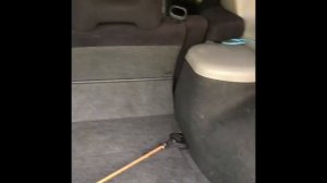 Холодный запуск Субару Форестер