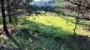 Сплав по реке Тверца: Медное - Черногубово - Тверь. Обзор реки, снаряжение, сборка байдарки Хатанга