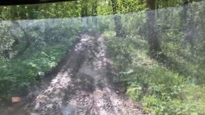 Offroad / Выходной / УАЗ 3303 / Бездорожье / Лес