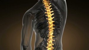 Осторожно, очень мощно. Исцеление альфа-волнами спины и позвоночника