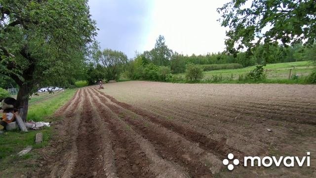 пропольник для картохи  или слепой проход междурядий  мотоблокам гросхоппер 188.
