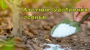 Азотные удобрения осенью