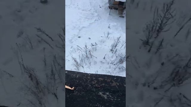 Растопить лёд без вреда для бетона и кафеля! смотреть онлайн