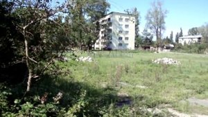 Копитнари в 2013 году