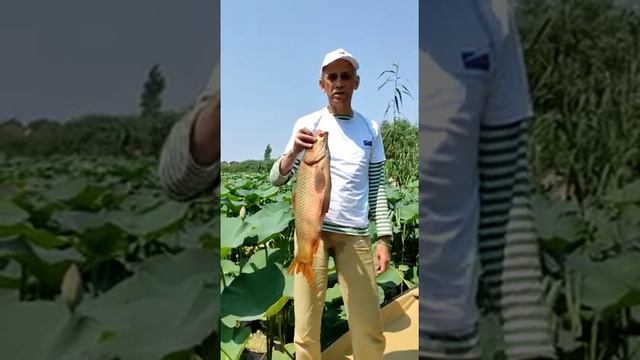 Поздравление с Днем рыбака на базе Маяк смотреть онлайн