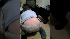 Брат мучает кота