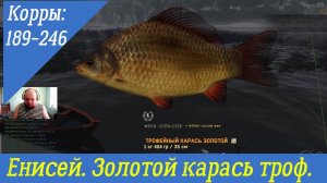 Fisher Online Енисей Троф Золотой карась