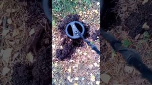 Поиск монет металлоискателем X-Terra 705 лето 2019 (ищем империю, как это реально происходит)