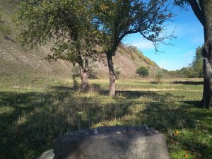 Партия в таблут, дебют тип-II, защита.