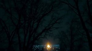 Ночь на двоих.