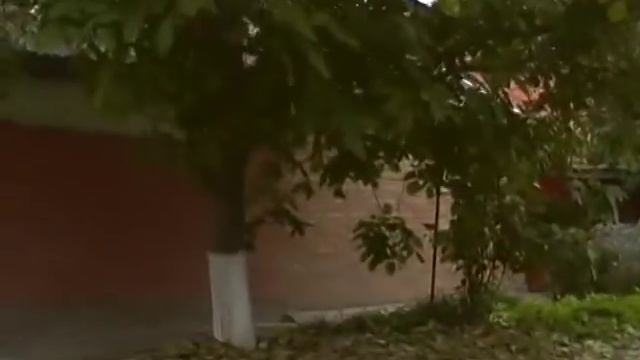 Неизведанный КРИС-П смотреть онлайн