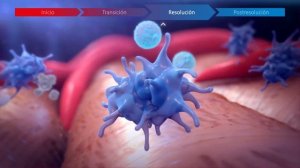 TRAUMEEL -  RESOLUCIÓN DE LA INFLAMACION MODULO I