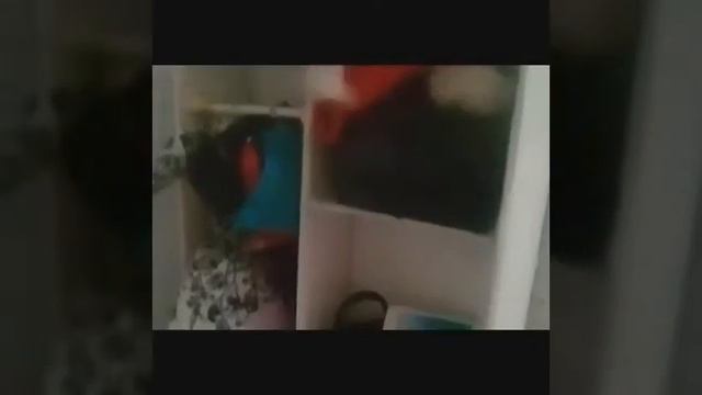 Новая комната?|Stop-montion| Влог Холли #3 смотреть онлайн