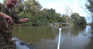 Ловля сазана в Астрахани! Двое суток на диком острове в низовье Астраханских рек! Бешенный клёв!