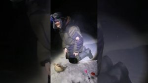 Рыбалка на леща в Барнауле на Оби