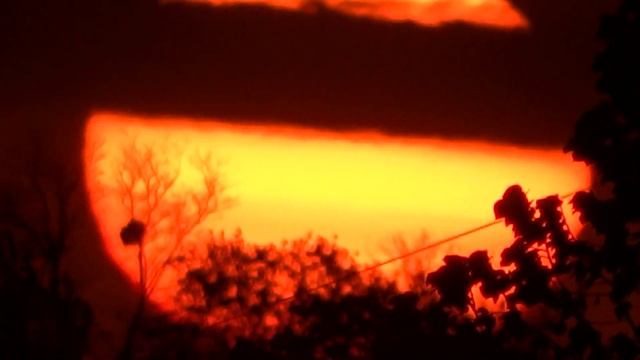 Рассвет 29 апреля 2020 Харьков Солнце встаёт из-за горизонта смотреть онлайн