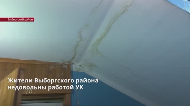Жители Выборгского района не довольны работой УК