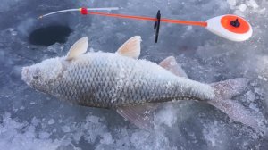 Зимняя рыбалка на льду. Рыба радует размерами. ПАЛАТКА, ЛЕЩ, ТАРАНЬ
