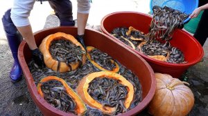 Ресторан, где собираются все сельские пожилые люди и готовят рыбный суп на протяжении 30 лет.