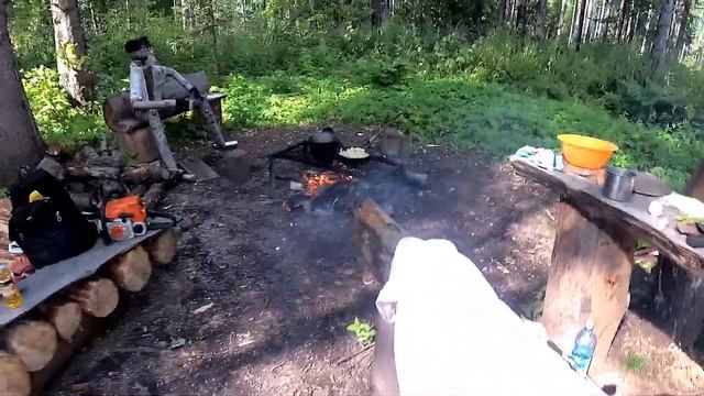 Грибы.Лесная избушка.Лоси на солонце. смотреть онлайн