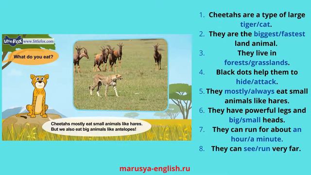 cheetah ПОСМОТРИ И ВЫПОЛНИ #englishlessonsforchildren #английскийдлядетей #английскийвидеоуроки
