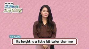 매일 10분 영어- 지나킴의 고고 리스닝 Listening 674. Its height is a little bit taller than me & They say bears ca