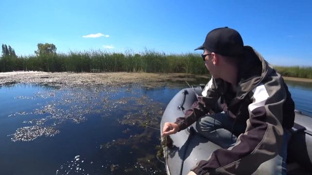 Расставили летние жерлицы с подводными камерами! Ловля щуки на живца.