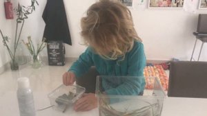 Богомол Призрак