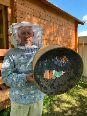 Ловля и сбор роёв на пасеке