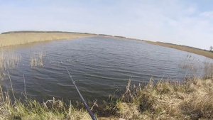 Daiwa TATULA CT TYPE-R 100 XS с AliExpress