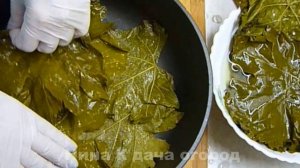 Долма: Рецепт ДОЛМЫ ИЗ ВИНОГРАДНЫХ ЛИСТЬЕВ +соус для толмы/Как приготовить долму