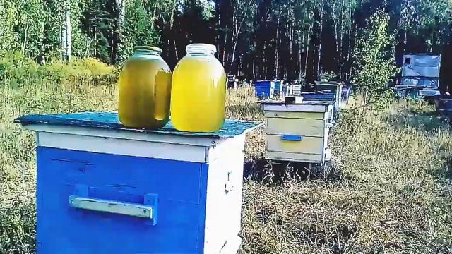 ЦЕНА НАСТОЯЩЕГО МЕДА ГОРНОЙ БАШКИРИИ... смотреть онлайн