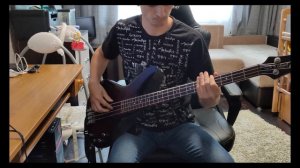 Бас партия ( Король и Шут) - Дурак и молния 2021