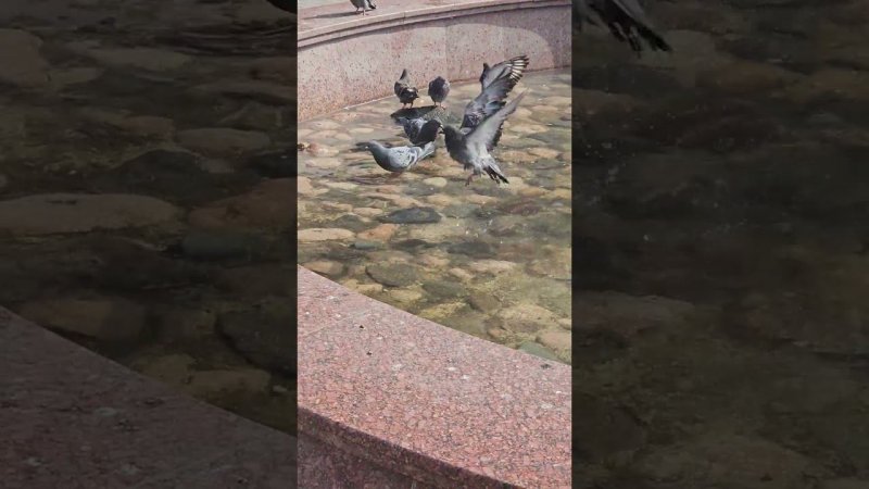 5 июня 2024 г.