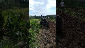 Копаем картошку картофелекопалкой Ярило.