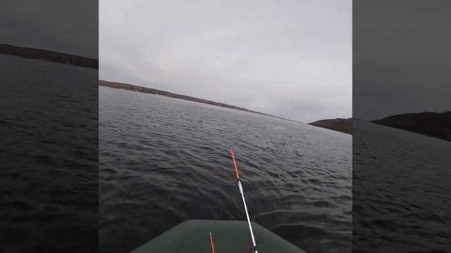 Рыбалка на берша 2020)ОТОРВАЛСЯ ЯКОРЬ!Красивая природа и 🌳лес смотреть онлайн