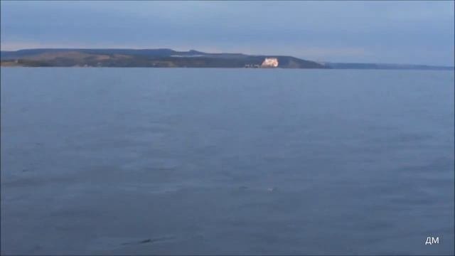 Специализированные суда Топаз Кама и Топаз Руза на Белом Яре 12 08 2020г