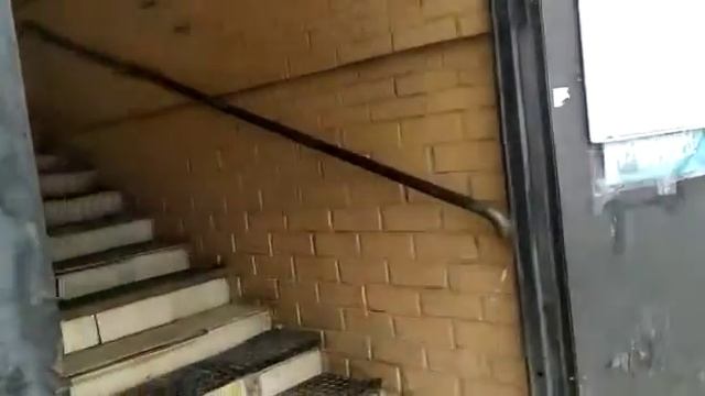 гор. окр. Пушкинский, пос Лесные поляны, ул Ленина, 9а, Витрина №270 смотреть онлайн