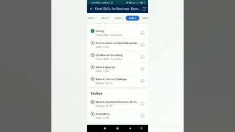 Coursera Excel Skills for Business: Essentials Week 4 Final Quiz Solutions