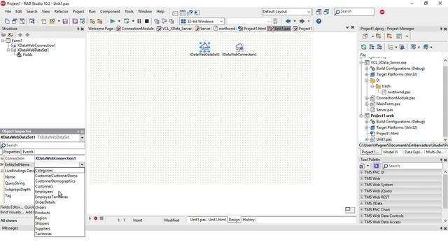 From Database to Web App through REST server with TMS XData and TMS Web Core смотреть онлайн