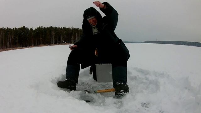 Белоярка 2 января 2022г смотреть онлайн