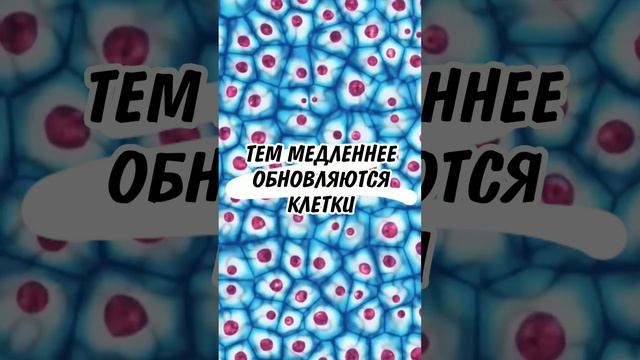 Все о морщинах