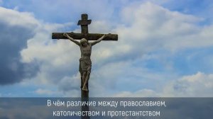 В чем различие между православием, католичеством и протестантством | #православныебеседы