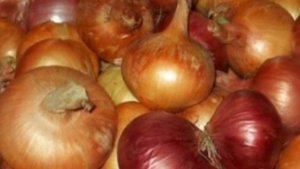 Репчатый лук: польза и вред для здоровья даже 1 кусок улучшает....