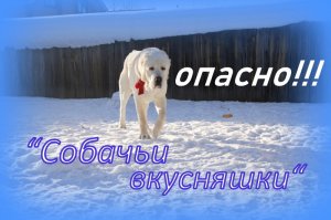 "Собачьи вкусняшки" из зоомагазина - опасно!