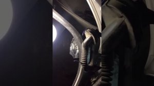 Как открыть багажник на Nissan Skyline v 35 2001-2006 год Ниссан Скайлайн