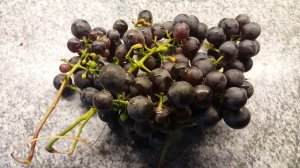 Варенье из винограда "Изабелла "