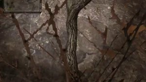 S.T.A.L.K.E.R. - ОП-2 Бонусный тайник Фенрира на Прометее, Восточная Припять