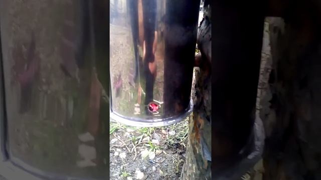 Дыма генератор своими руками коптим рыбу холодного копчения . №2