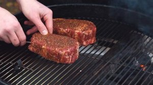 SNS 500 Digital Thermometer - Best Digital Thermometer - BBQ Accessories